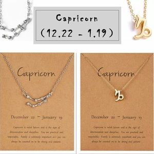 Capricorn Gold and Silver Necklace Set